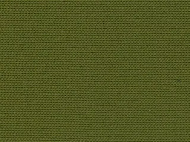 Akustikstoff Standard Grün Olivgrün (52)