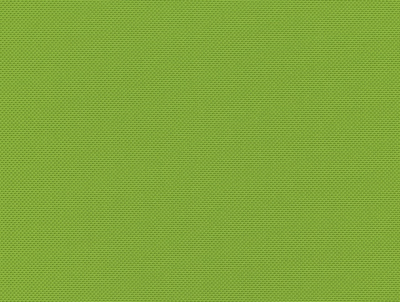 Colour Standard: Green Tea (40)